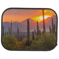 Sonnenuntergang der Wüste, Arizona