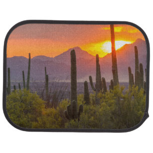 Sonnenuntergang der Wüste, Arizona Automatte