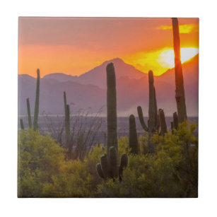 Sonnenuntergang der Wüste, Arizona Fliese