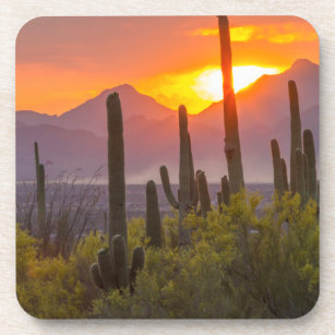 Sonnenuntergang der Wüste, Arizona Getränkeuntersetzer