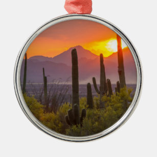 Sonnenuntergang der Wüste, Arizona Silbernes Ornament