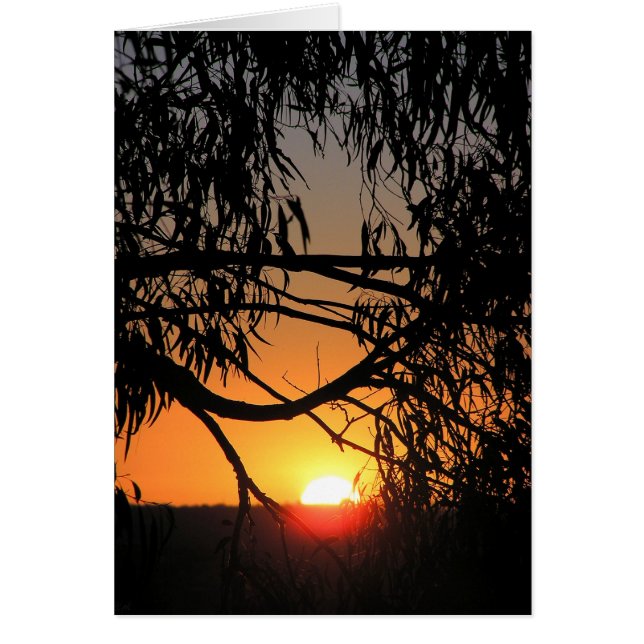 Sonnenuntergang-Dunkelkarte (Vorne)