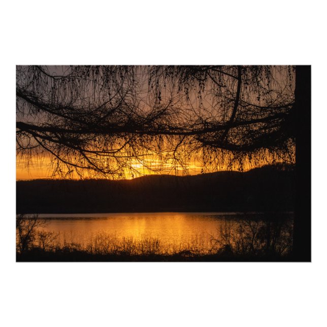 Sonnenuntergang durch Bäume Fotodruck (Vorne)