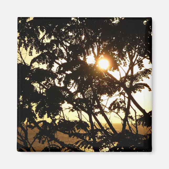 Sonnenuntergang durch Bäume I Tropische Fotografie Magnet (Vorne)