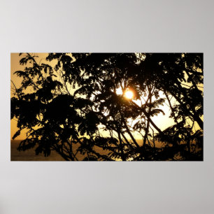 Sonnenuntergang durch Bäume I Tropische Fotografie Poster