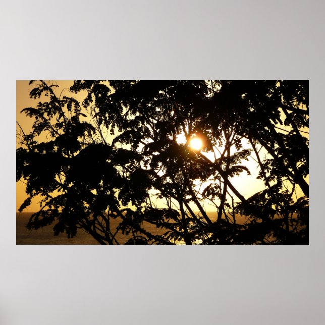 Sonnenuntergang durch Bäume I Tropische Fotografie Poster (Vorne)