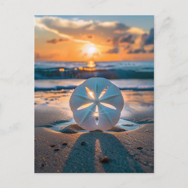 Sonnenuntergang durch den Sand-Dollar Postkarte (Vorderseite)
