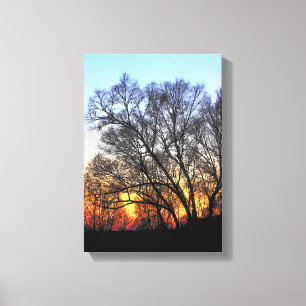 Sonnenuntergang durch die Bäume Leinwanddruck