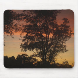 Sonnenuntergang durch die Bäume Mousepad