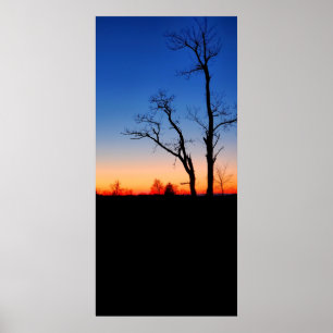 Sonnenuntergang durch die Bäume Poster