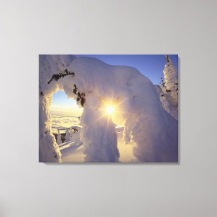 Sonnenuntergang durch die Snowghosts am Big Mounta Leinwanddruck