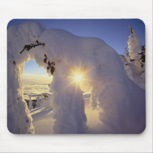 Sonnenuntergang durch die Snowghosts am Big Mounta Mousepad
