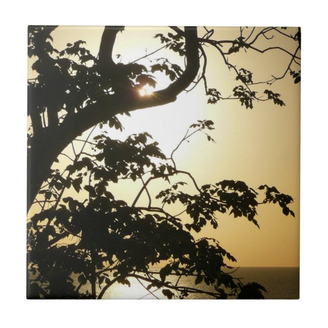 Sonnenuntergang durch die Tropenfotografie der Bäu Fliese (Vorderseite)