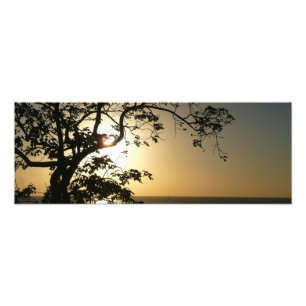 Sonnenuntergang durch die Tropenfotografie der Bäu Fotodruck