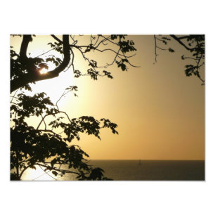 Sonnenuntergang durch die Tropenfotografie der Bäu Fotodruck