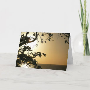 Sonnenuntergang durch die Tropenfotografie der Bäu Karte