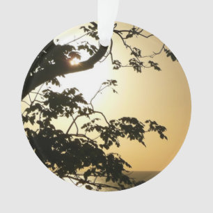 Sonnenuntergang durch die Tropenfotografie der Bäu Ornament