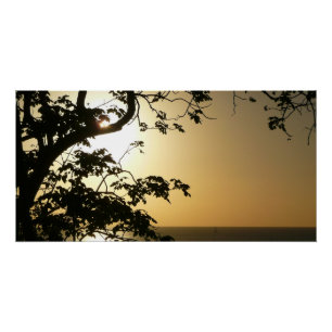 Sonnenuntergang durch die Tropenfotografie der Bäu Poster