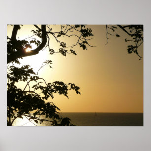 Sonnenuntergang durch die Tropenfotografie der Bäu Poster