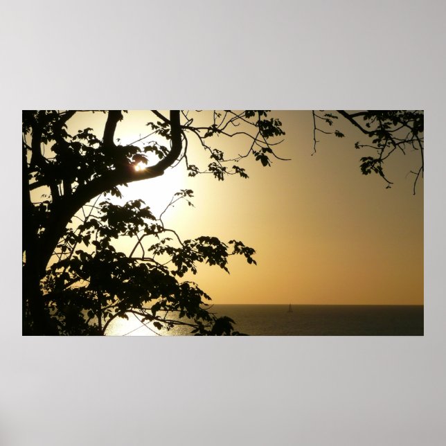 Sonnenuntergang durch die Tropenfotografie der Bäu Poster (Vorne)