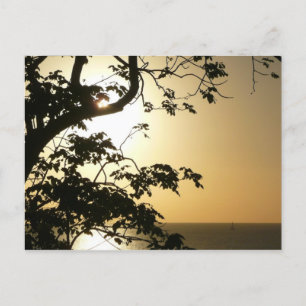 Sonnenuntergang durch die Tropenfotografie der Bäu Postkarte