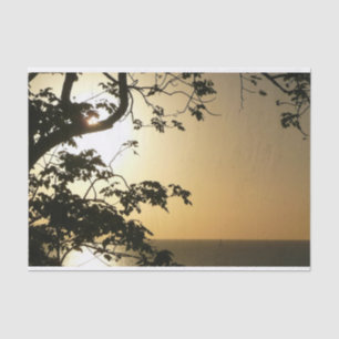 Sonnenuntergang durch die Tropenfotografie der Bäu Seidenpapier