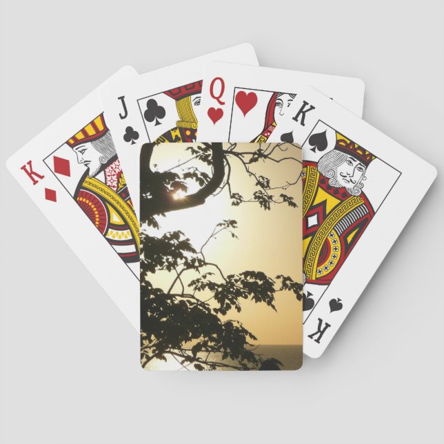 Sonnenuntergang durch die Tropenfotografie der Bäu Spielkarten (Rückseite)