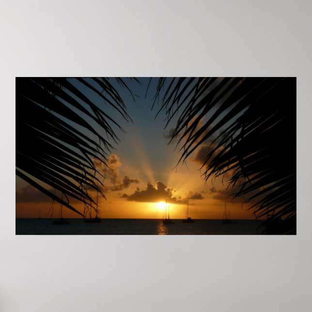 Sonnenuntergang durch die tropische Küste der Palm Poster (Vorne)