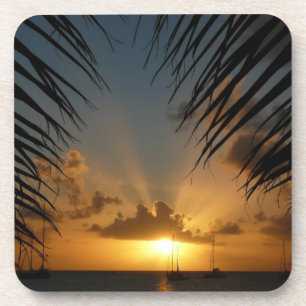 Sonnenuntergang durch die tropische Küste der Palm Untersetzer