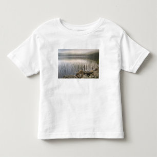 Sonnenuntergang durch Nebel über Upper Hadlock Pon Kleinkind T-shirt