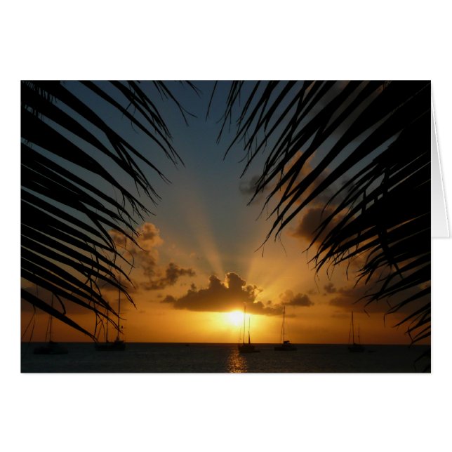 Sonnenuntergang durch Palm Fronds Card (Vorderseite (Horizontal))