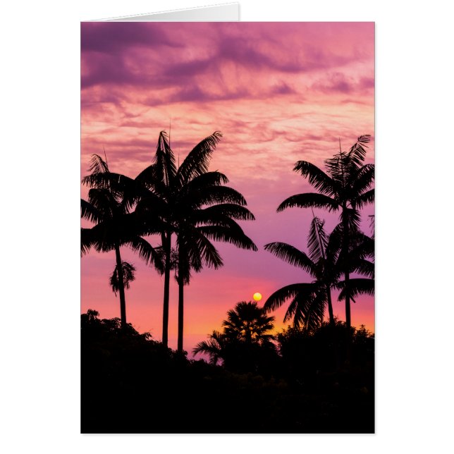 Sonnenuntergang durch Palmen (Vorne)