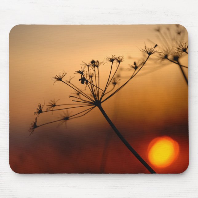 Sonnenuntergang-Feld-Blumen Mousepad (Vorne)