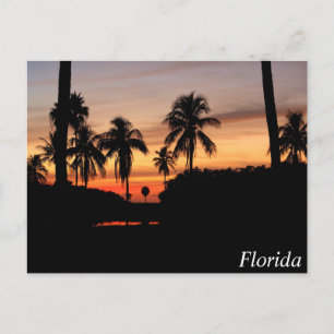 Sonnenuntergang Florida Postkarte