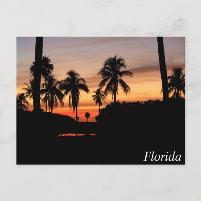 Sonnenuntergang Florida Postkarte (Vorderseite)