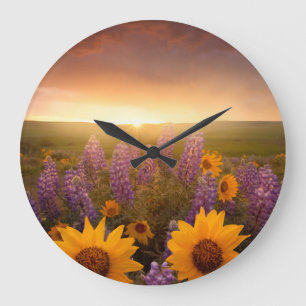 Sonnenuntergang-Gänseblümchen Große Wanduhr