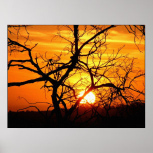 Sonnenuntergang Gebranntes Poster