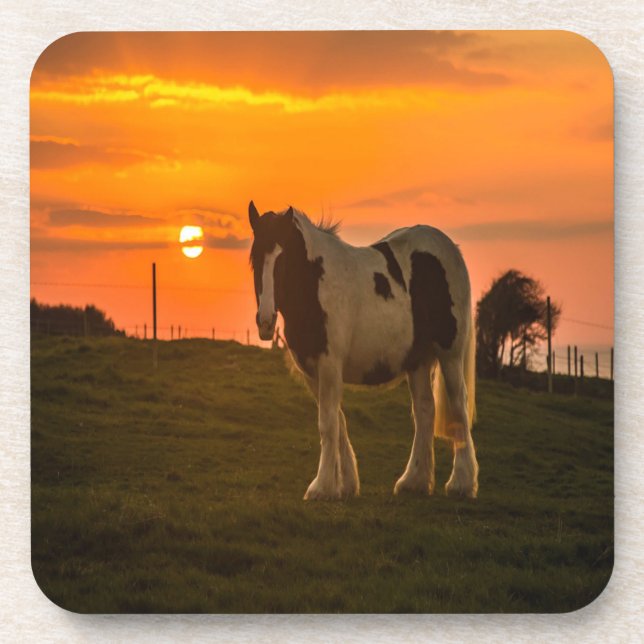 Sonnenuntergang Getränkeuntersetzer (Vorderseite)