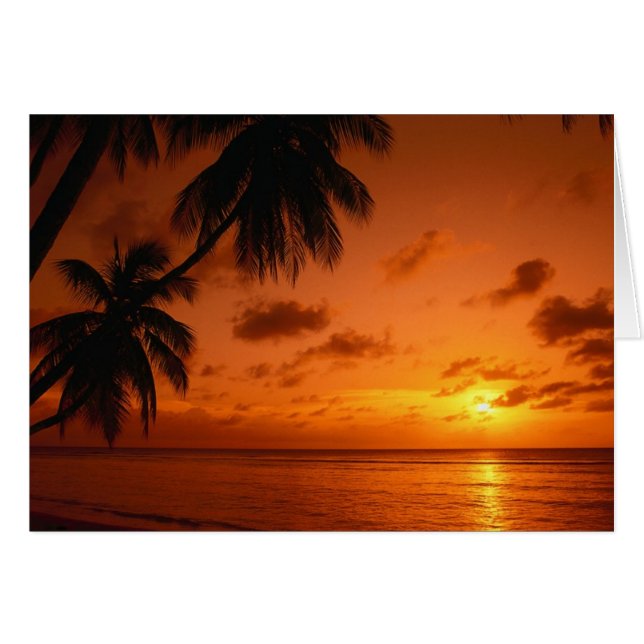 Sonnenuntergang-heilende Karte (Vorderseite (Horizontal))