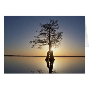 Sonnenuntergang hinter einem Baum