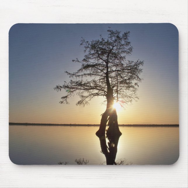 Sonnenuntergang hinter einem Baum Mousepad (Vorne)