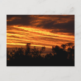 Sonnenuntergang im Sommer in Canberra Postkarte