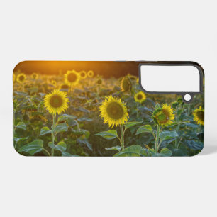 Sonnenuntergang im Sonnenblumenfeld Samsung Galaxy Hülle