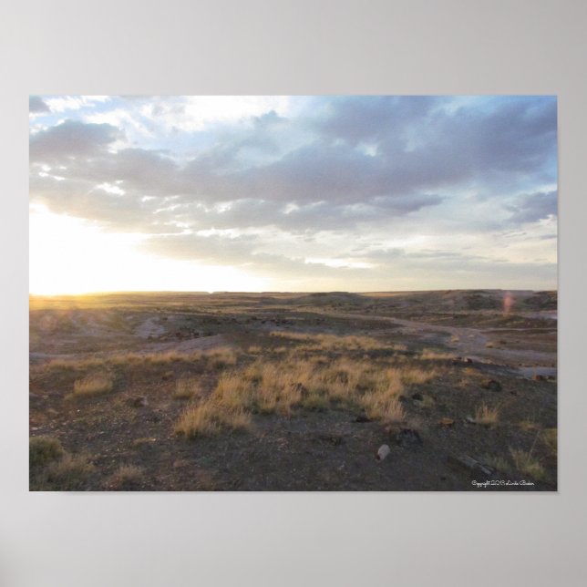 Sonnenuntergang im versteinerten Wald Poster (Vorne)