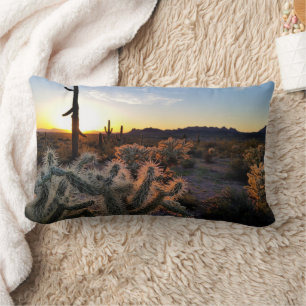Sonnenuntergang in Arizona Sonoran-Wüste mit Sagua Lendenkissen