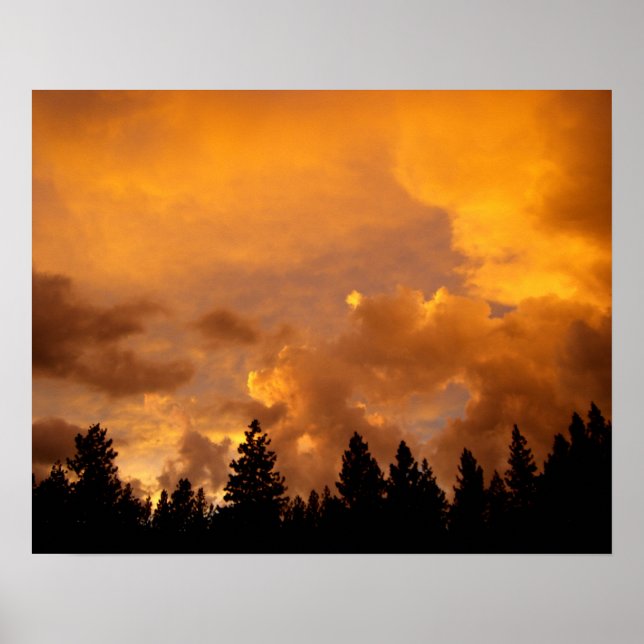 Sonnenuntergang in den Sierras Poster (Vorne)