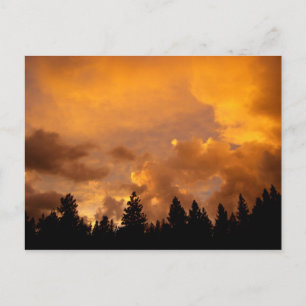Sonnenuntergang in den Sierras - Postkarte