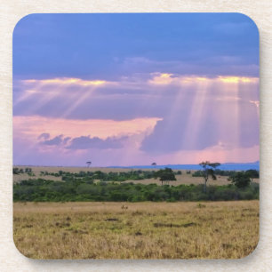 Sonnenuntergang in der Masai Mara. Getränkeuntersetzer