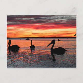 Sonnenuntergang in der Monkey Mia Postkarte