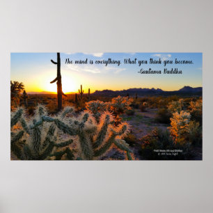 Sonnenuntergang in der Sonora-Wüste Arizona mit Sa Poster